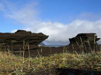 Strandhafer und dunkle Lavasandfiguren am Dyrhólavegur